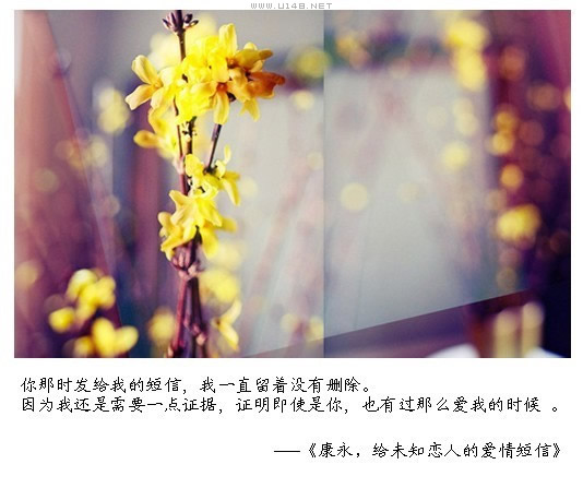 给未知恋人的爱情短信98 / 作者:低吟那一抹忧伤 / 帖子ID:16180