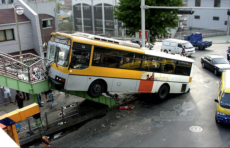 我来了，554 / 作者:不需要人懂 / 帖子ID:16372