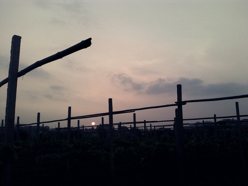 夕阳无限美...886 / 作者:嬋影 / 帖子ID:16442