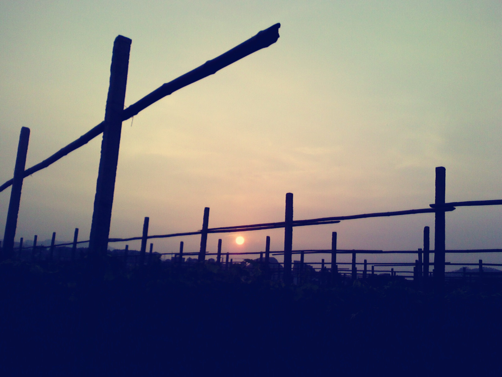 夕阳无限美...954 / 作者:嬋影 / 帖子ID:16442