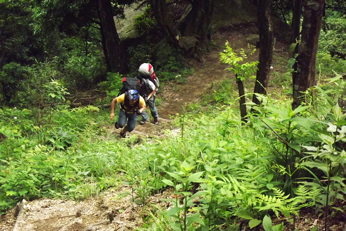 2012立夏、燕子山。发图完毕。84--110楼更新。19 / 作者:講不醜 / 帖子ID:16444