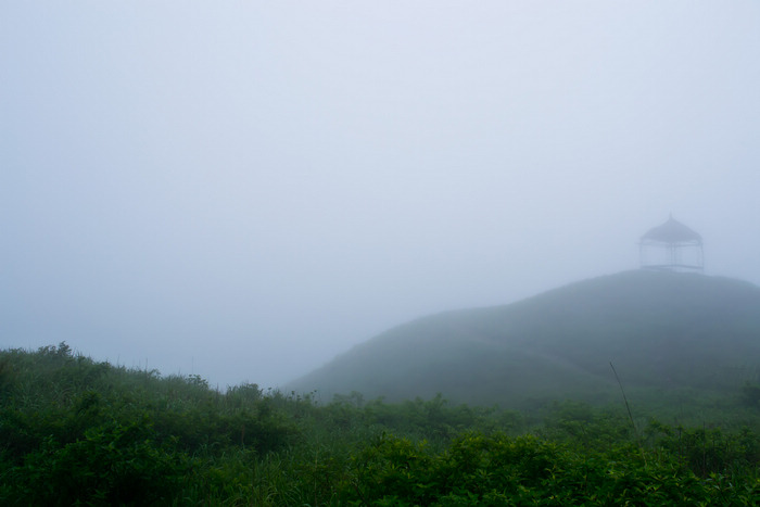 2012立夏、燕子山。发图完毕。84--110楼更新。961 / 作者:講不醜 / 帖子ID:16444