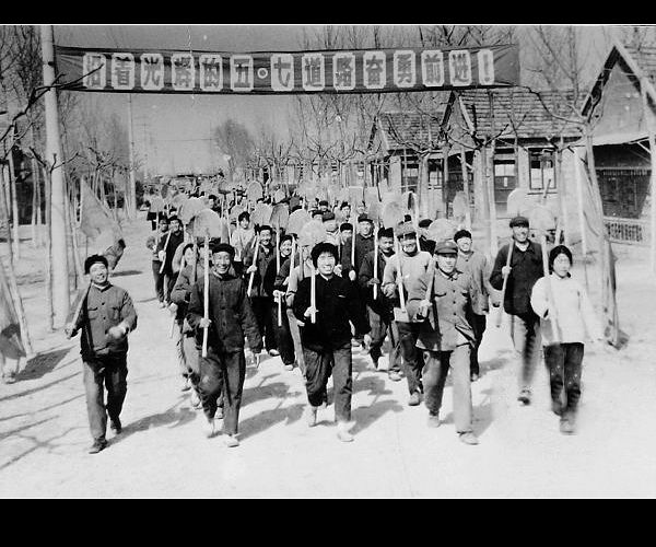 四十多年前的五、七指示及五七干校。20 / 作者:平安大叔 / 帖子ID:16481