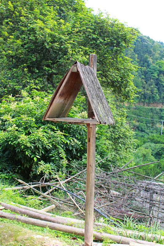 大家又来猜下这两个是干嘛的！11 / 作者:小紫 / 帖子ID:16533