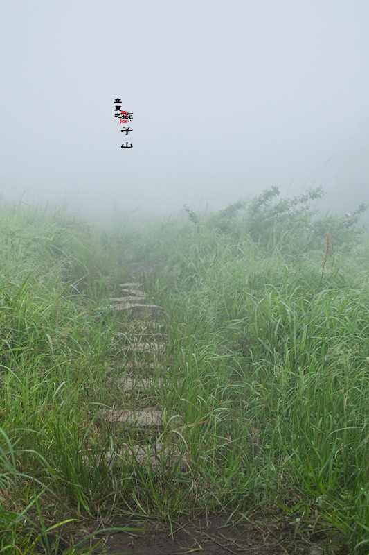 立夏之、天仙燕子山。322 / 作者:講不醜 / 帖子ID:16556