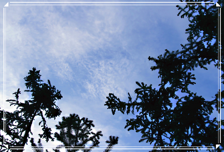 天空...兰兰的天.白白的云.991 / 作者:瑶乡看兰 / 帖子ID:16576