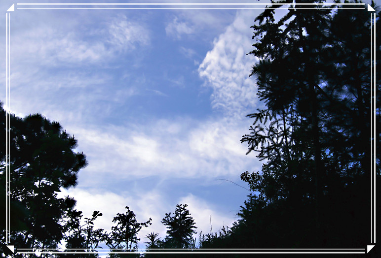 天空...兰兰的天.白白的云.491 / 作者:瑶乡看兰 / 帖子ID:16576