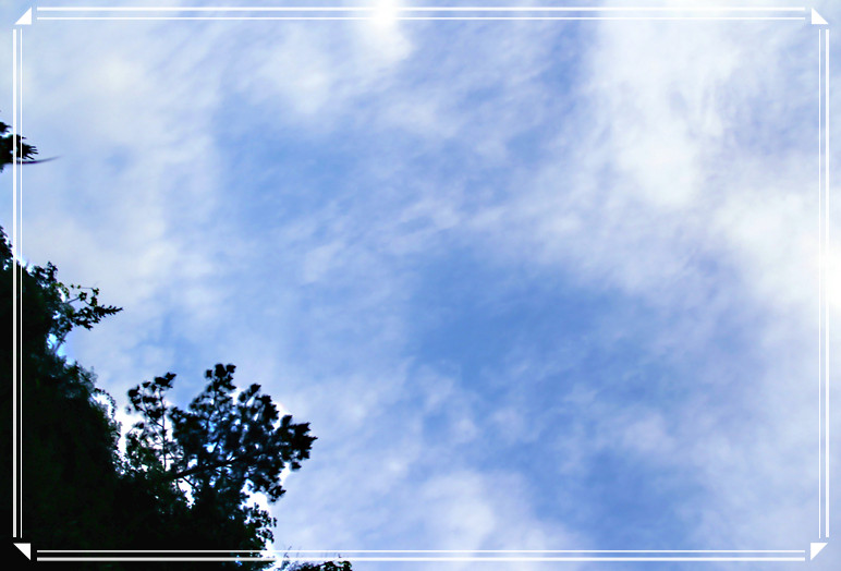天空...兰兰的天.白白的云.214 / 作者:瑶乡看兰 / 帖子ID:16576