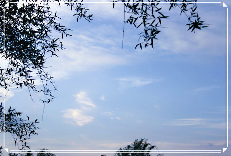 天空...兰兰的天.白白的云.27 / 作者:瑶乡看兰 / 帖子ID:16576