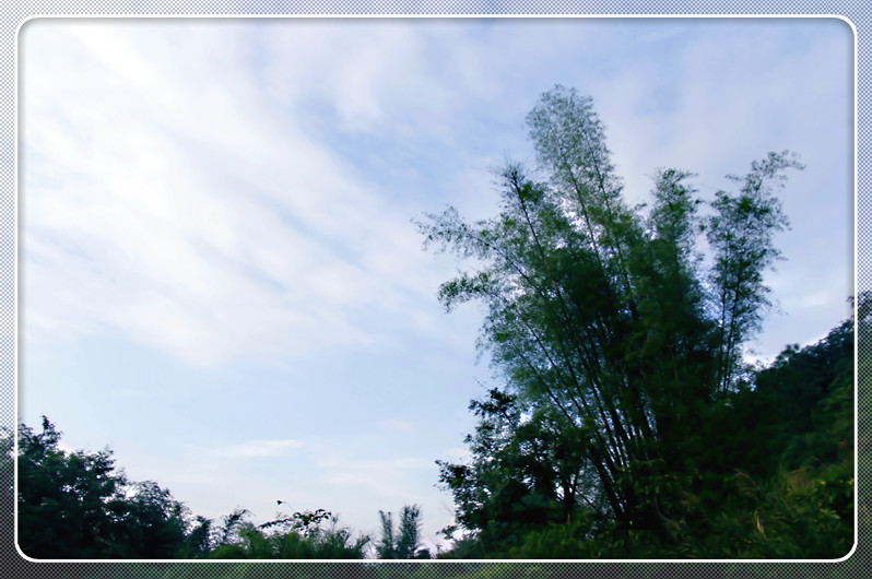 天空...兰兰的天.白白的云.999 / 作者:瑶乡看兰 / 帖子ID:16576