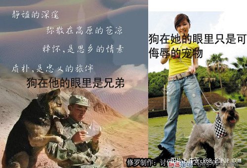 超女有什么资格侮辱军人？唐笑骂武警＂看门狗392 / 作者:1300 / 帖子ID:16599