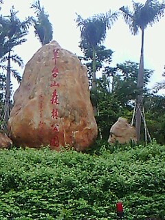 深圳阳台山踏青735 / 作者:←￠华◥眚☆ / 帖子ID:16643
