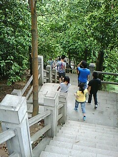 深圳阳台山踏青548 / 作者:←￠华◥眚☆ / 帖子ID:16643