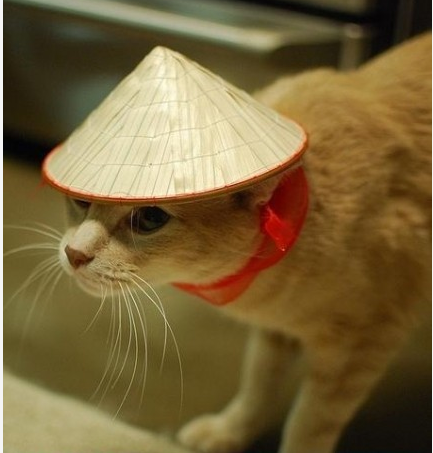 哈哈哈哈哈哈 ......908 / 作者:最心痛的玩笑 / 帖子ID:16669