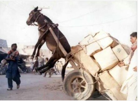 哈哈哈哈哈哈 ......281 / 作者:最心痛的玩笑 / 帖子ID:16669