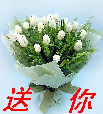 欢迎新人---一抹涵笑999 / 作者:梦里探花 / 帖子ID:16678