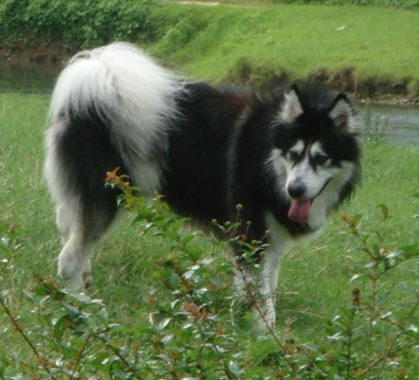 “七匹狼”火热预订中！！！257 / 作者:一米阳光 / 帖子ID:16668