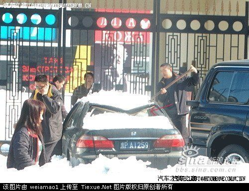 日本车和中国车、 美国车 、德国车等相撞后.....442 / 作者:星想事成 / 帖子ID:16692