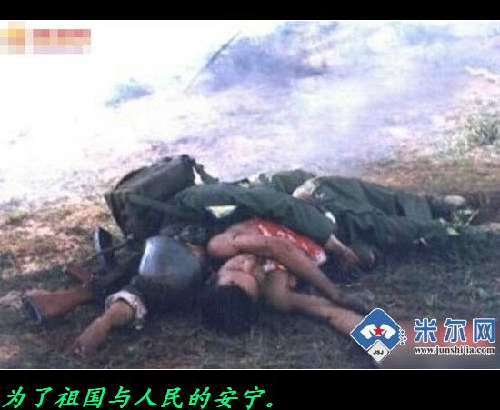 震撼心灵的图片！252 / 作者:平安大叔 / 帖子ID:16695