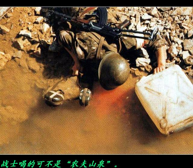 震撼心灵的图片！582 / 作者:平安大叔 / 帖子ID:16695