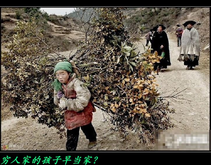 震撼心灵的图片！9 / 作者:平安大叔 / 帖子ID:16695