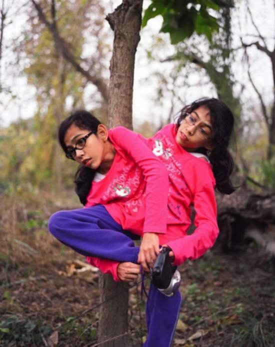 神奇的怪异动物537 / 作者:小雨点 / 帖子ID:16729