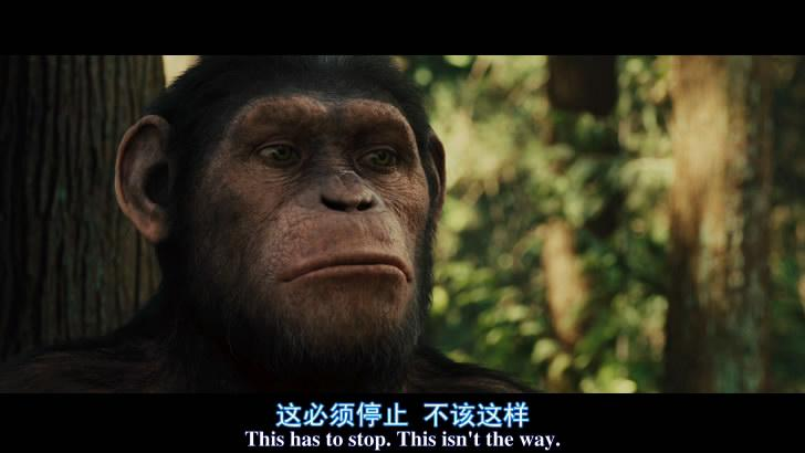 【欧美大片】猩球崛起 种子606 / 作者:黄子 / 帖子ID:16833