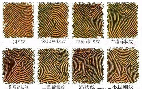 右手食指指纹牵情745 / 作者:晨锘 / 帖子ID:16978