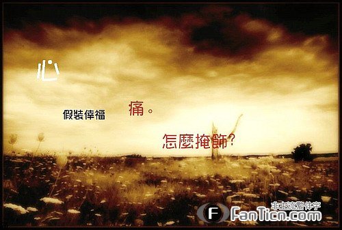 刺猬，你看见了吗？？185 / 作者:Kiki / 帖子ID:17475