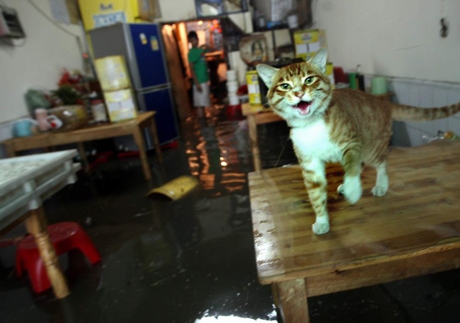 夏季到南昌来“看海”【高清组图】992 / 作者:黄子 / 帖子ID:17701