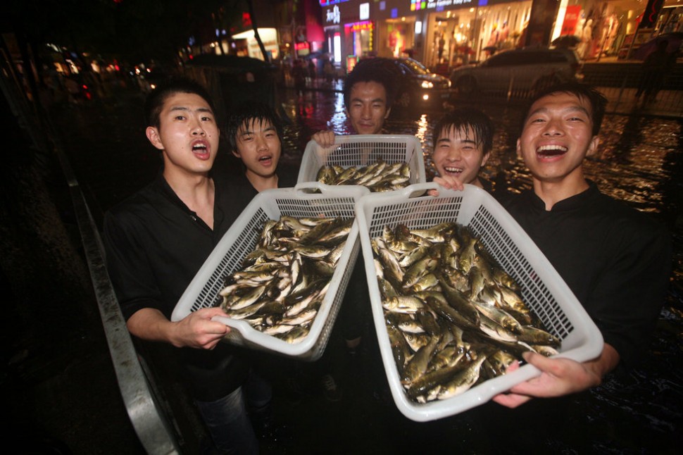 夏季到南昌来“看海”【高清组图】42 / 作者:黄子 / 帖子ID:17701