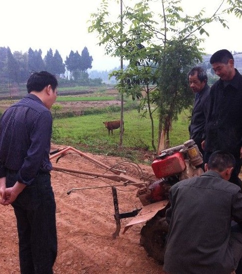 小牛的悲哀35 / 作者:根本不服 / 帖子ID:17724