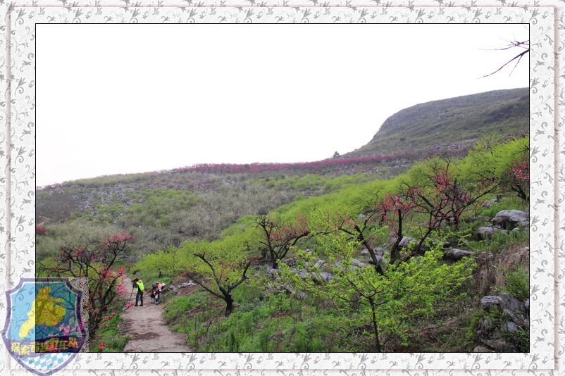 一次和柳州.荔浦车友的联欢554 / 作者:探索者越野车队 / 帖子ID:17728