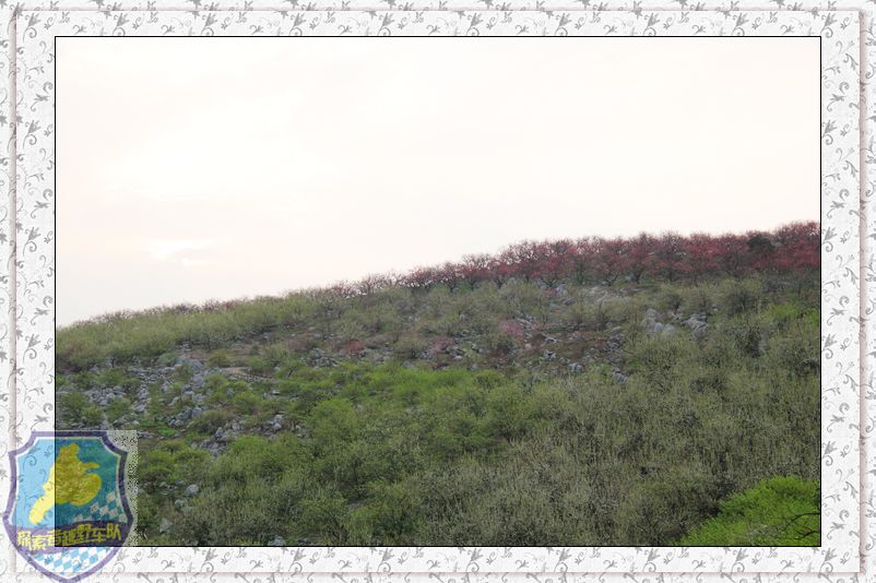 一次和柳州.荔浦车友的联欢839 / 作者:探索者越野车队 / 帖子ID:17728