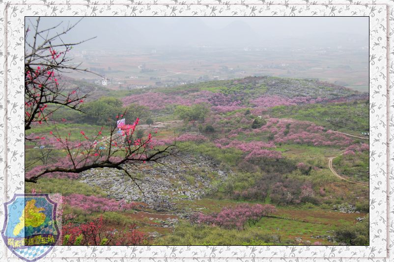 一次和柳州.荔浦车友的联欢53 / 作者:探索者越野车队 / 帖子ID:17728