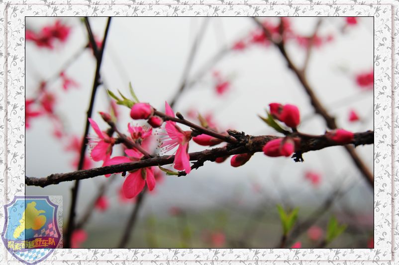 一次和柳州.荔浦车友的联欢658 / 作者:探索者越野车队 / 帖子ID:17728