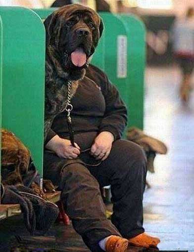 那些微博上的雷图·········184 / 作者:火星娃崽 / 帖子ID:17825