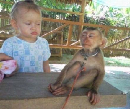 那些微博上的雷图·········109 / 作者:火星娃崽 / 帖子ID:17825