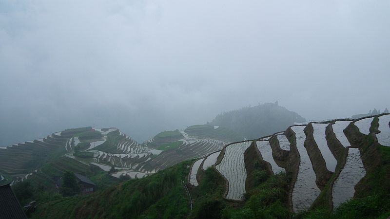 6月2-3日活动召集：穿越龙脊天梯、游走在天上人间(本周遇雨延期至下周，静待好天气！)849 / 作者:燕妮 / 帖子ID:17838