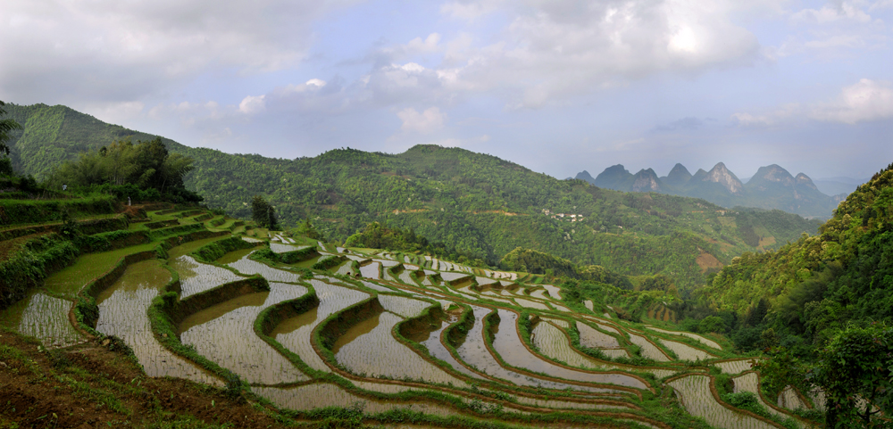 gongcheng  恭城梯田小景958 / 作者:老兔子 / 帖子ID:17846