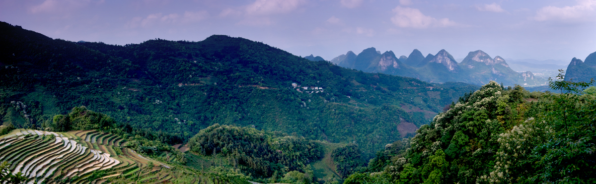 gongcheng  恭城梯田小景837 / 作者:老兔子 / 帖子ID:17846