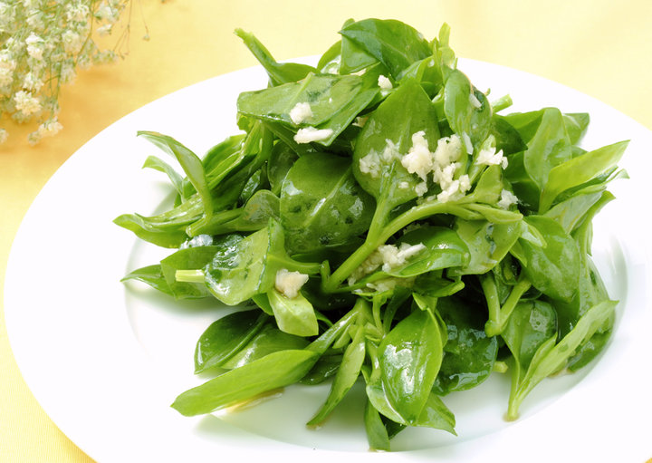夏日美食123 / 作者:天涯孤独客 / 帖子ID:17854