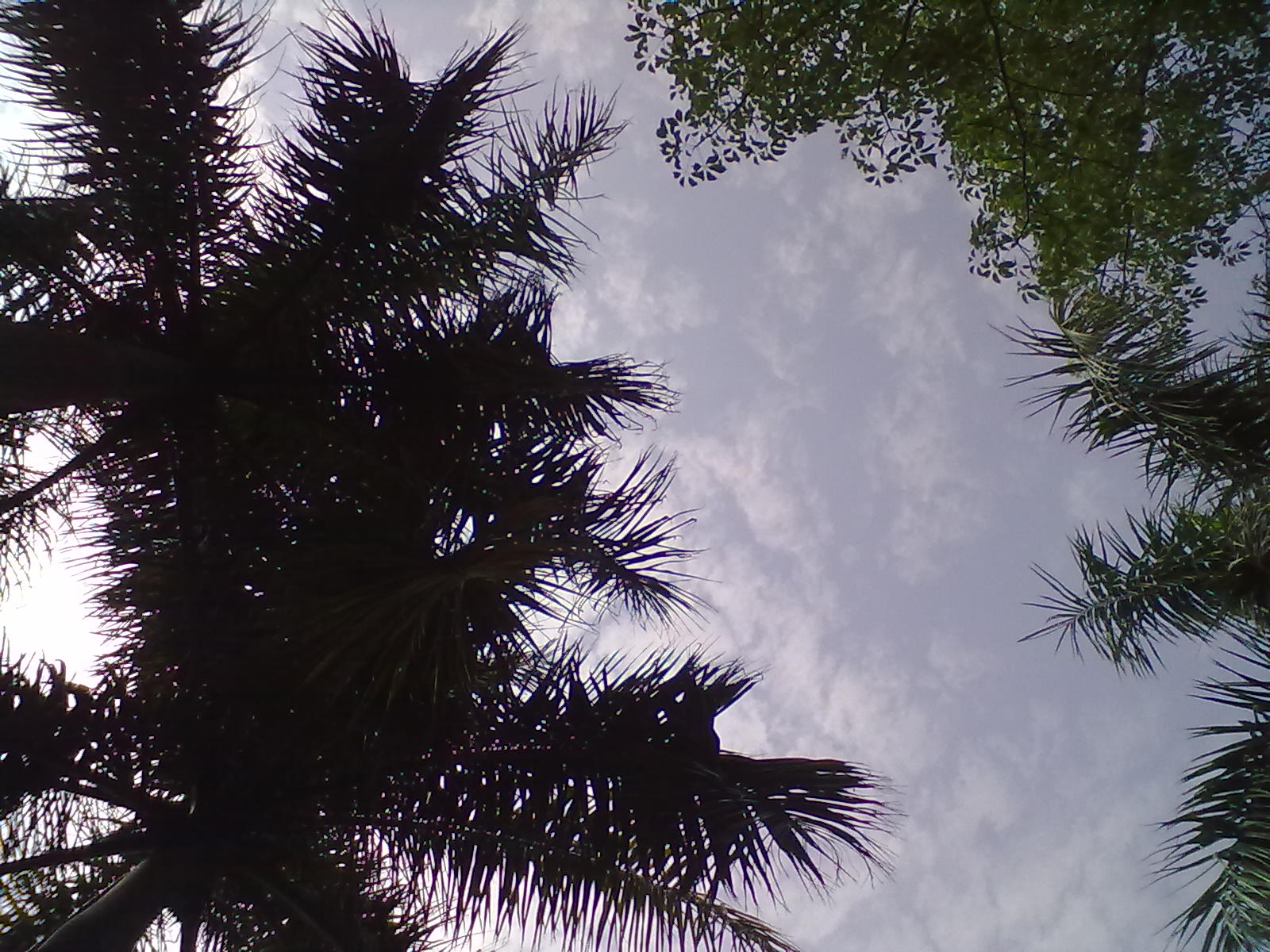 手机随拍随感。929 / 作者:扯卵谈 / 帖子ID:17898