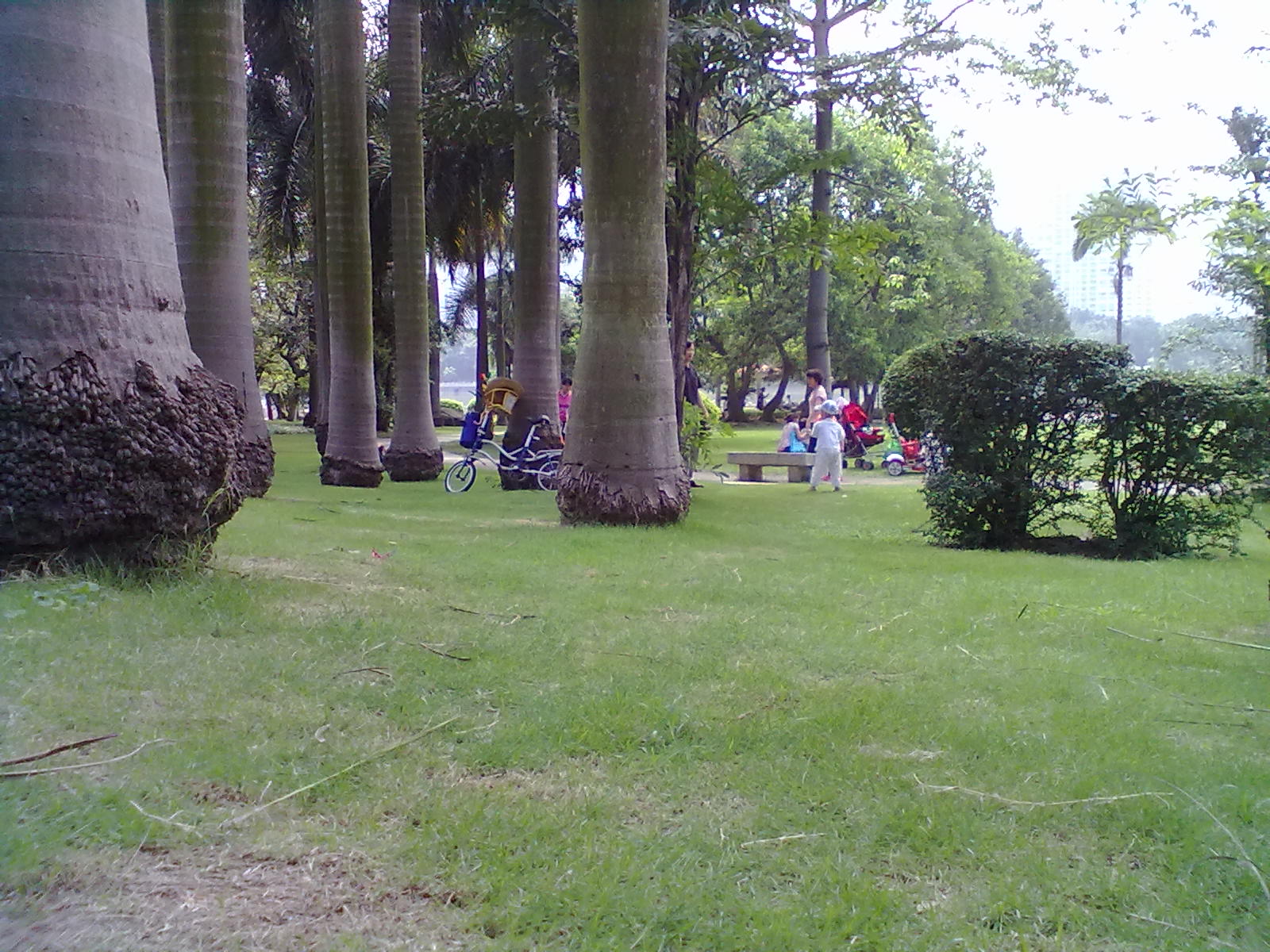 手机随拍随感。644 / 作者:扯卵谈 / 帖子ID:17898