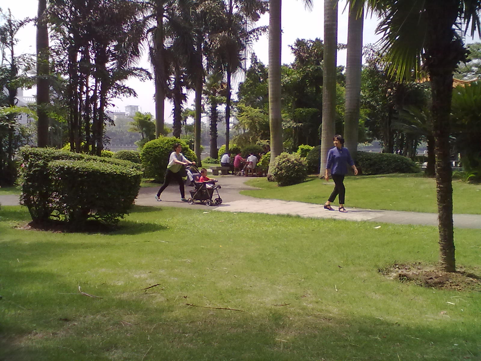 手机随拍随感。122 / 作者:扯卵谈 / 帖子ID:17898