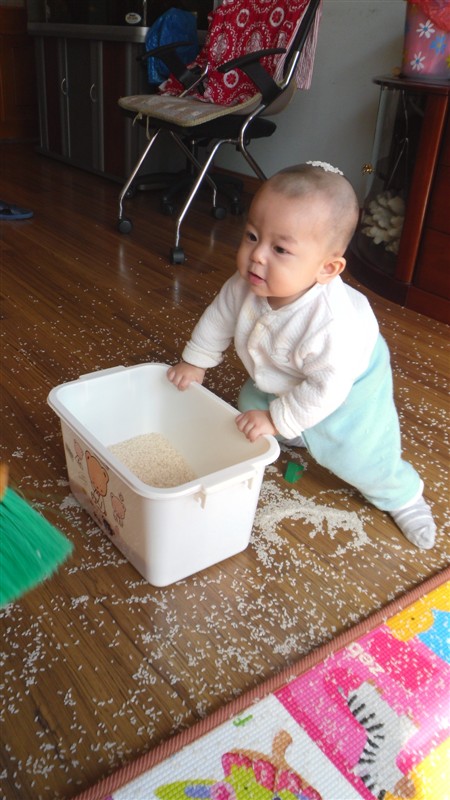 朋友家的小孩      十足的调皮鬼348 / 作者:小雨点 / 帖子ID:17923