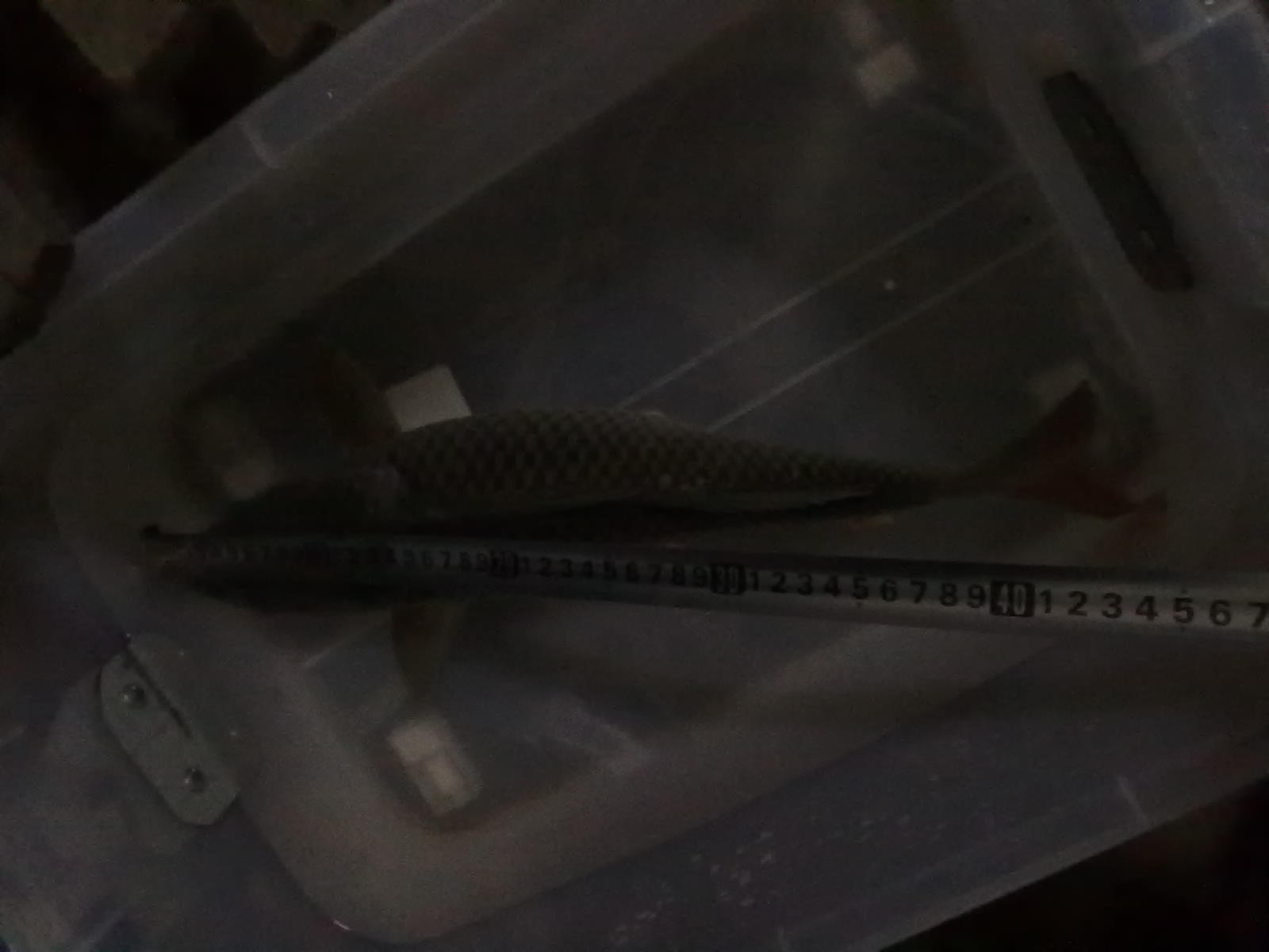 昨晚在河边钓了条大鲤鱼。。。438 / 作者:(别_ㄋ)我旳曾經 / 帖子ID:17928