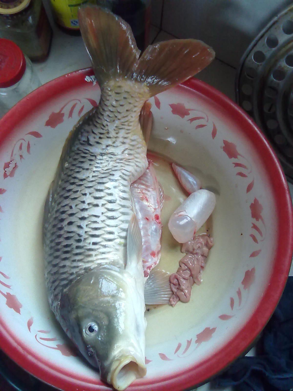 昨晚在河边钓了条大鲤鱼。。。310 / 作者:(别_ㄋ)我旳曾經 / 帖子ID:17928