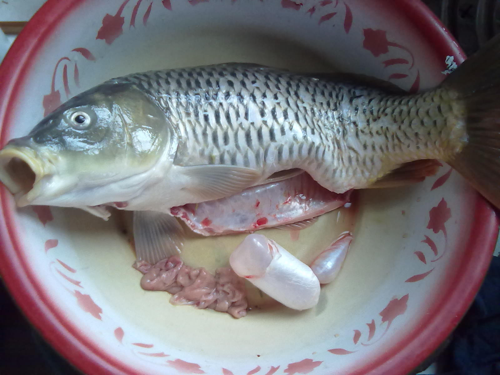 昨晚在河边钓了条大鲤鱼。。。294 / 作者:(别_ㄋ)我旳曾經 / 帖子ID:17928