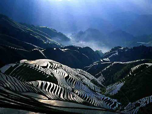 6月2-3日活动召集：穿越龙脊天梯、游走在天上人间(本周遇雨延期至下周，静待好天气！)440 / 作者:燕妮 / 帖子ID:17838